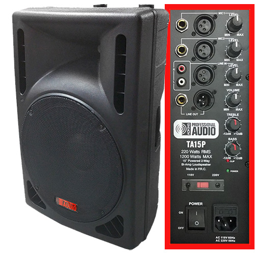 Adkins Professional Audio TA15P powered speaker
